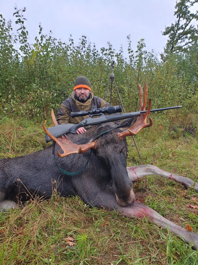 охота на лося в беларуси