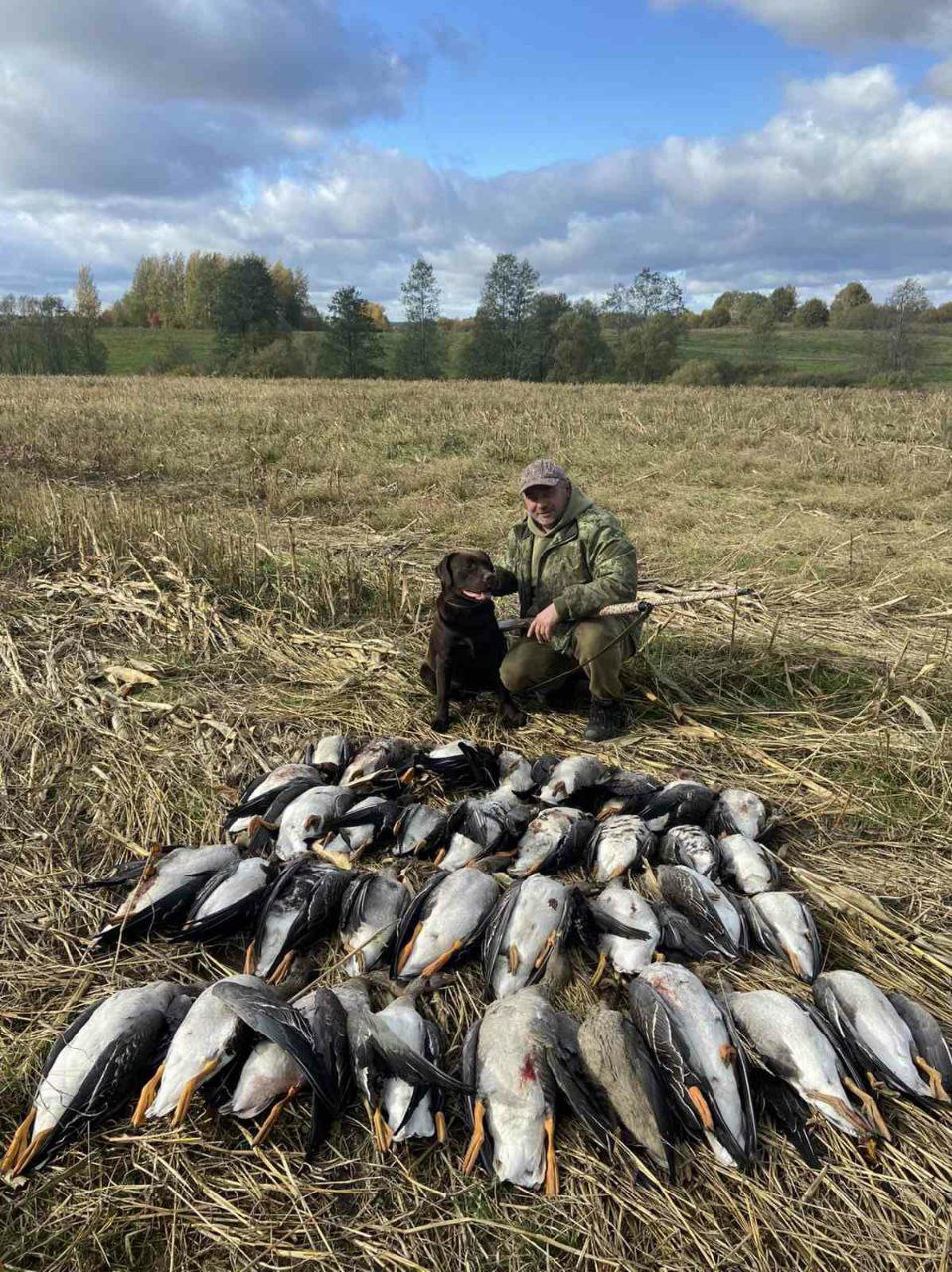 охота на гуся в Беларуси охотничье хозяйство Лебединое